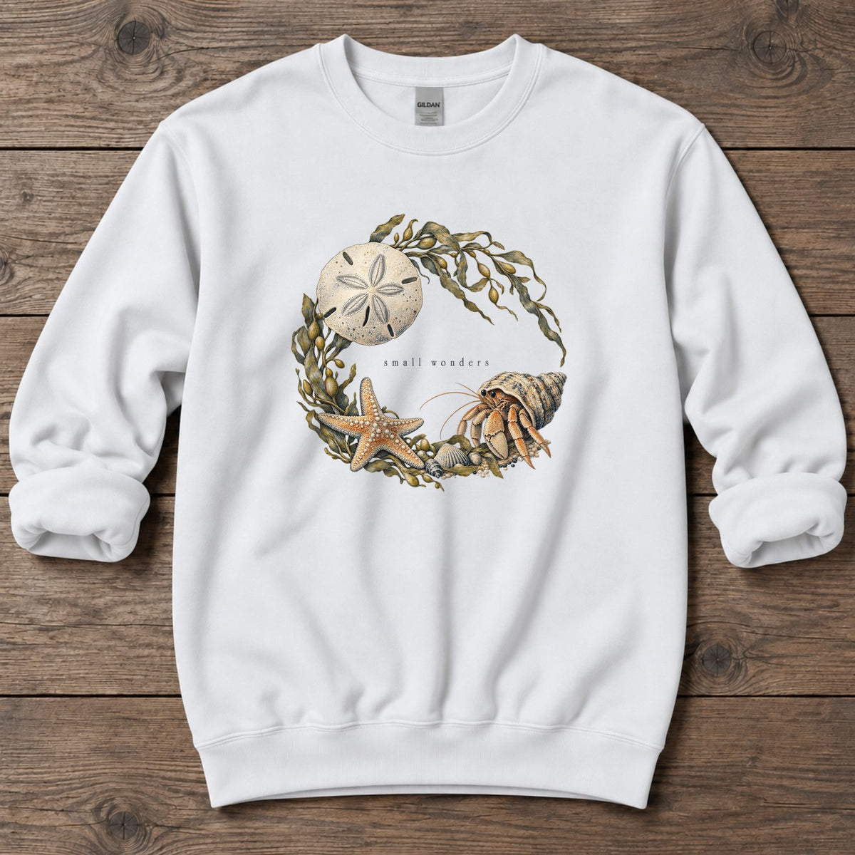 Small Wonders Sand Dollar Midweight Sweatshirt in White, Salty Paws Midweight Sweatshirt, front design flat lay