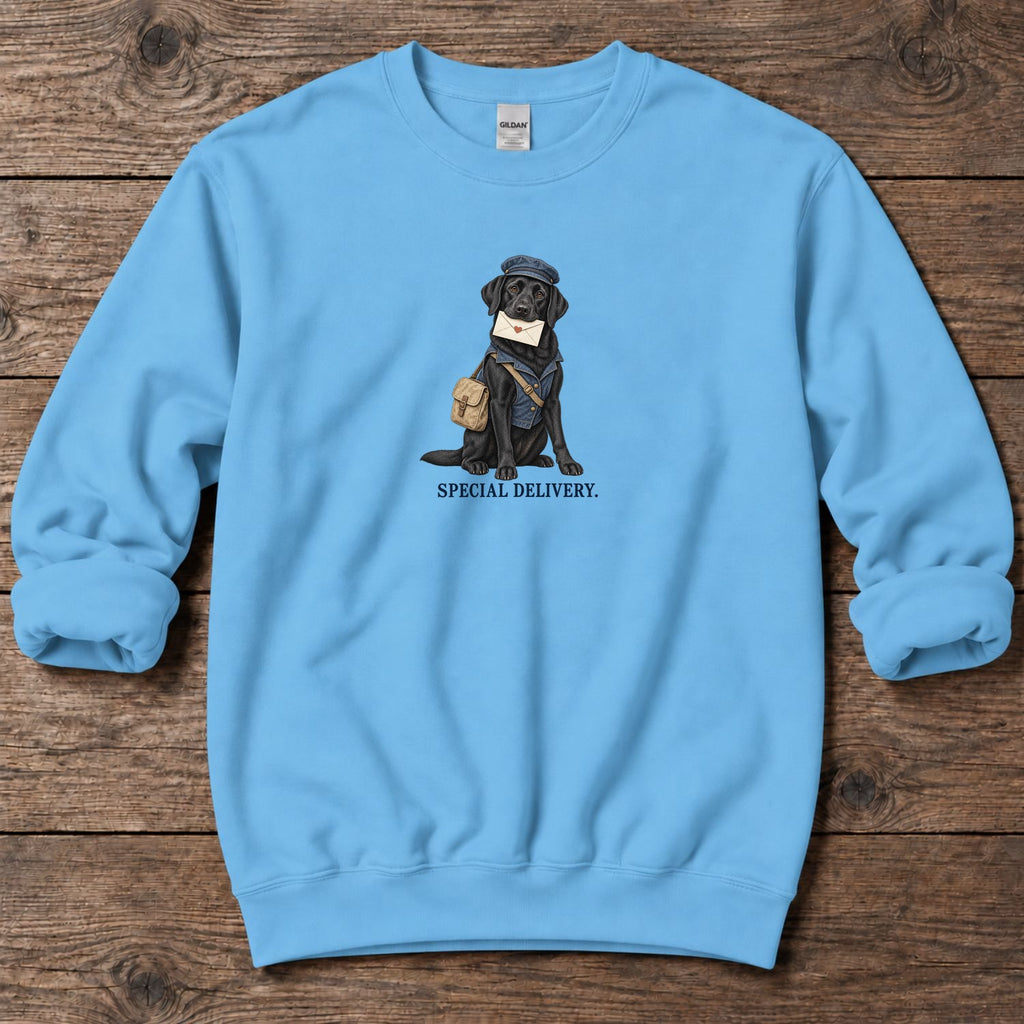 Special Delivery Mail Carrier Lab Midweight Sweatshirt in Sky, Salty Paws coastal sweatshirt