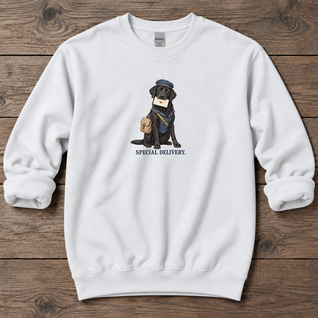 Special Delivery Mail Carrier Lab Midweight Sweatshirt in White, Salty Paws coastal sweatshirt