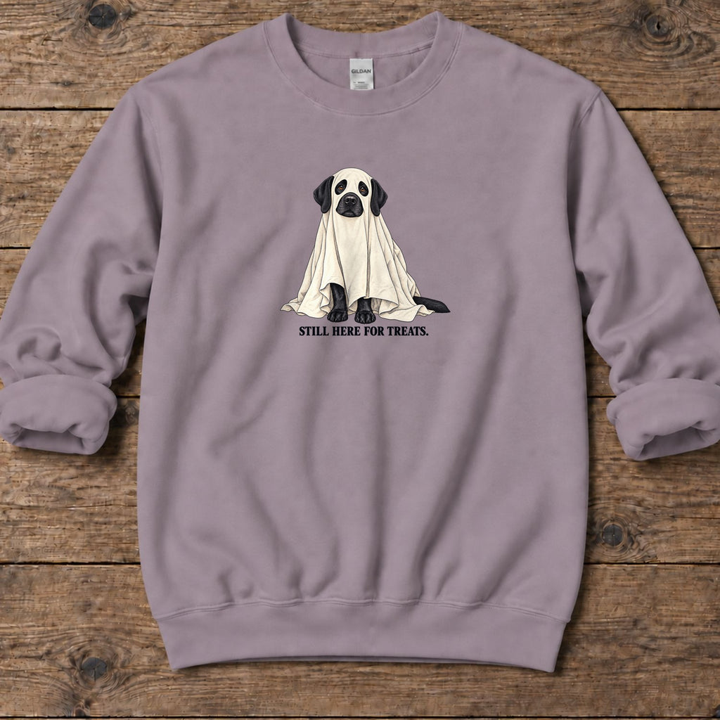 Still Here for Treats Ghost Lab Midweight Sweatshirt in Paragon, Salty Paws coastal sweatshirt