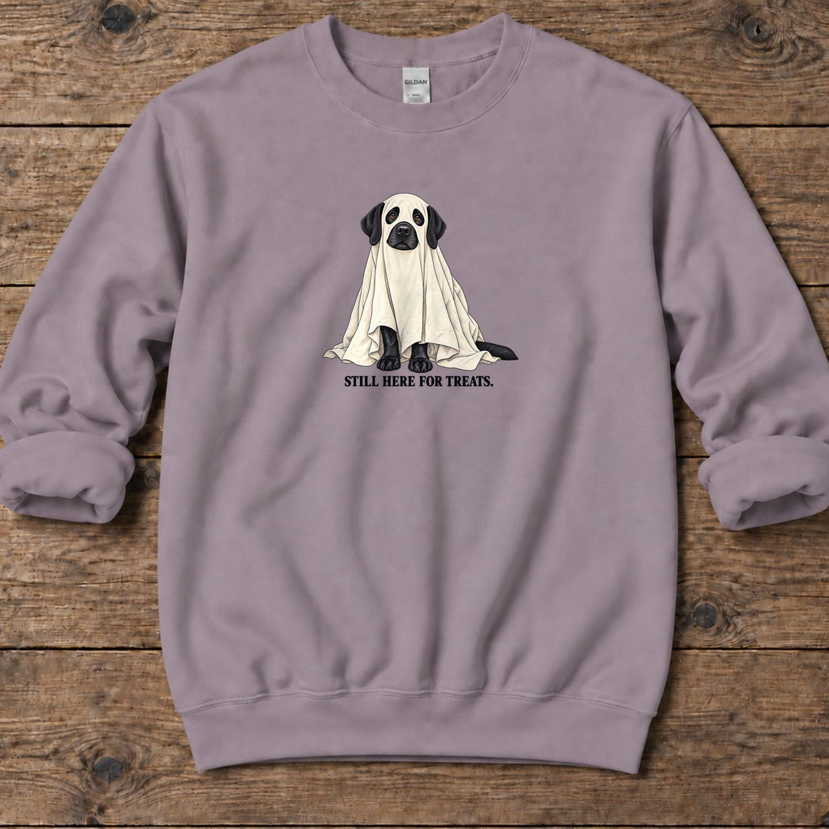 Still Here for Treats Ghost Lab Midweight Sweatshirt in Paragon, Salty Paws coastal sweatshirt