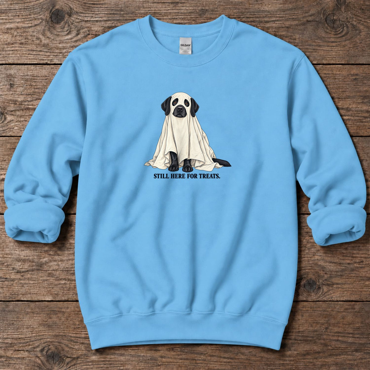 Still Here for Treats Ghost Lab Midweight Sweatshirt in Sky, Salty Paws coastal sweatshirt