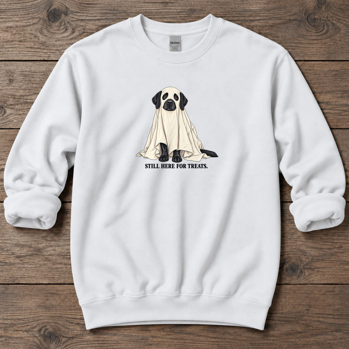 Still Here for Treats Ghost Lab Midweight Sweatshirt in White, Salty Paws coastal sweatshirt