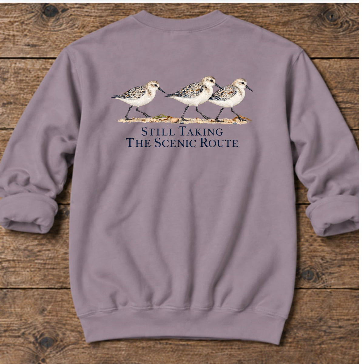 Still Taking the Scenic Route Sandpipers Back Design Midweight Sweatshirt in Paragon, Salty Paws coastal sweatshirt