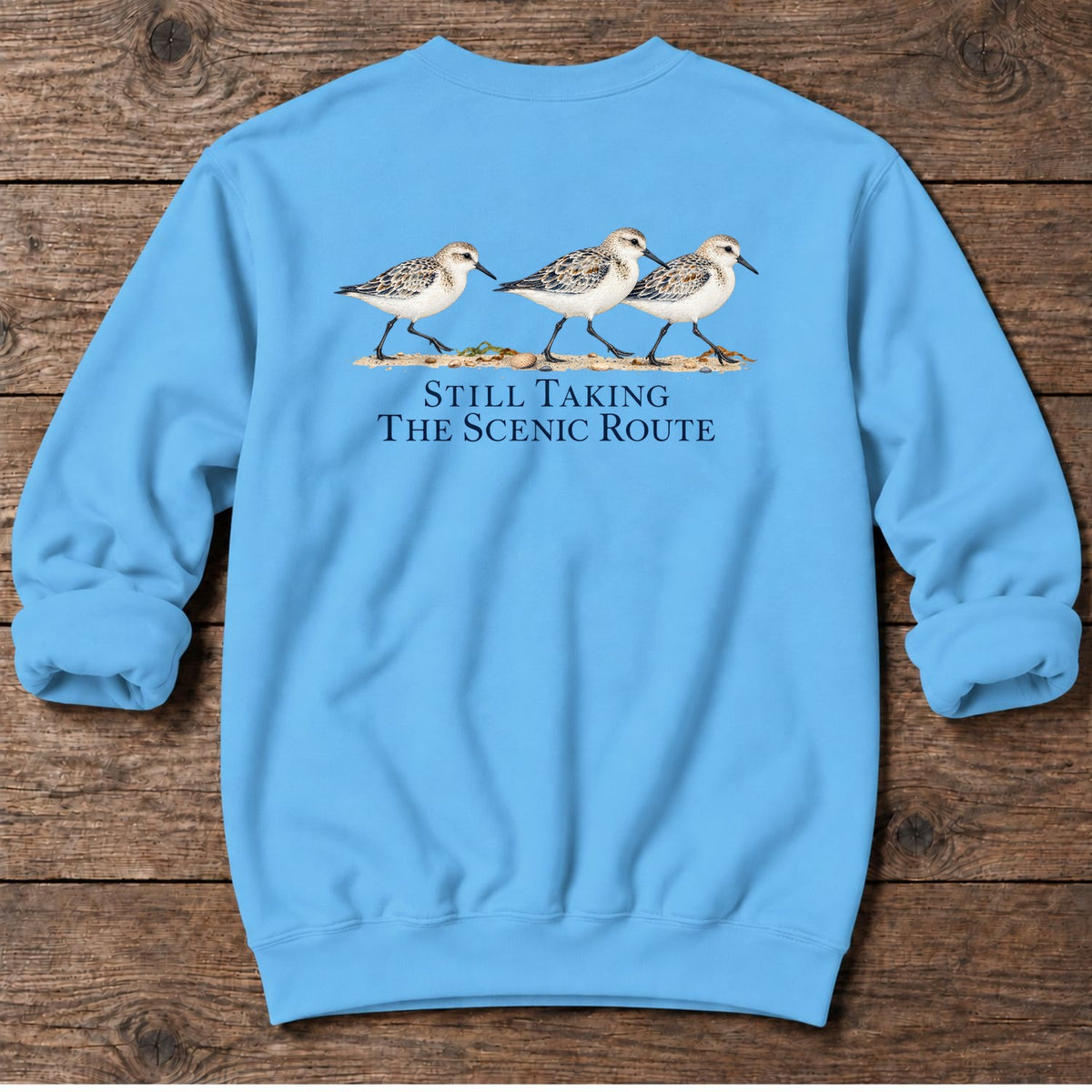 Still Taking the Scenic Route Sandpipers Back Design Midweight Sweatshirt in Sky, Salty Paws coastal sweatshirt