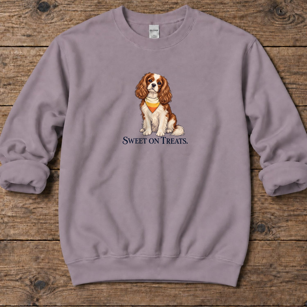 Sweet on Treats Candy Corn Cavalier Midweight Sweatshirt in Paragon, Salty Paws coastal sweatshirt