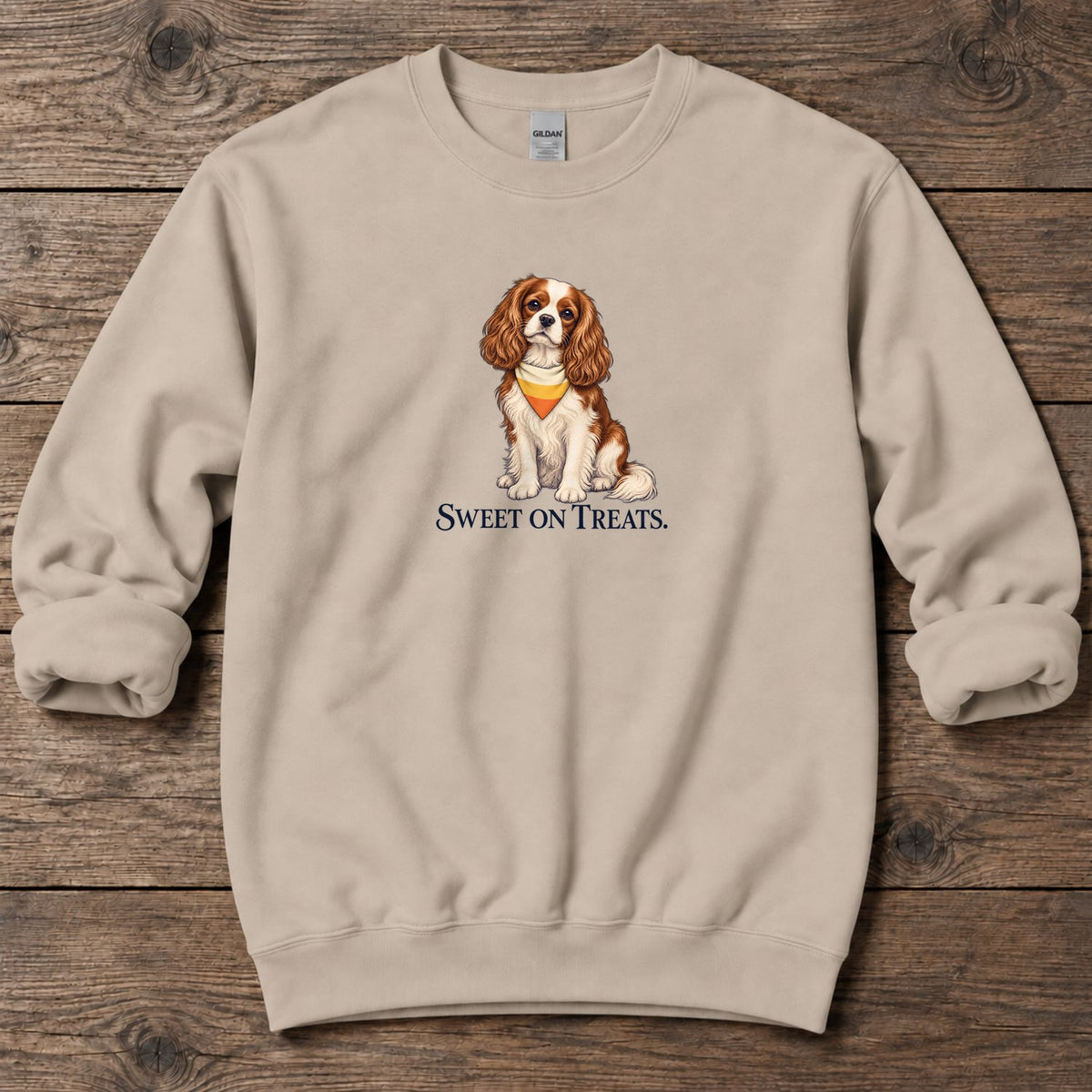 Sweet on Treats Candy Corn Cavalier Midweight Sweatshirt in Sand, Salty Paws coastal sweatshirt