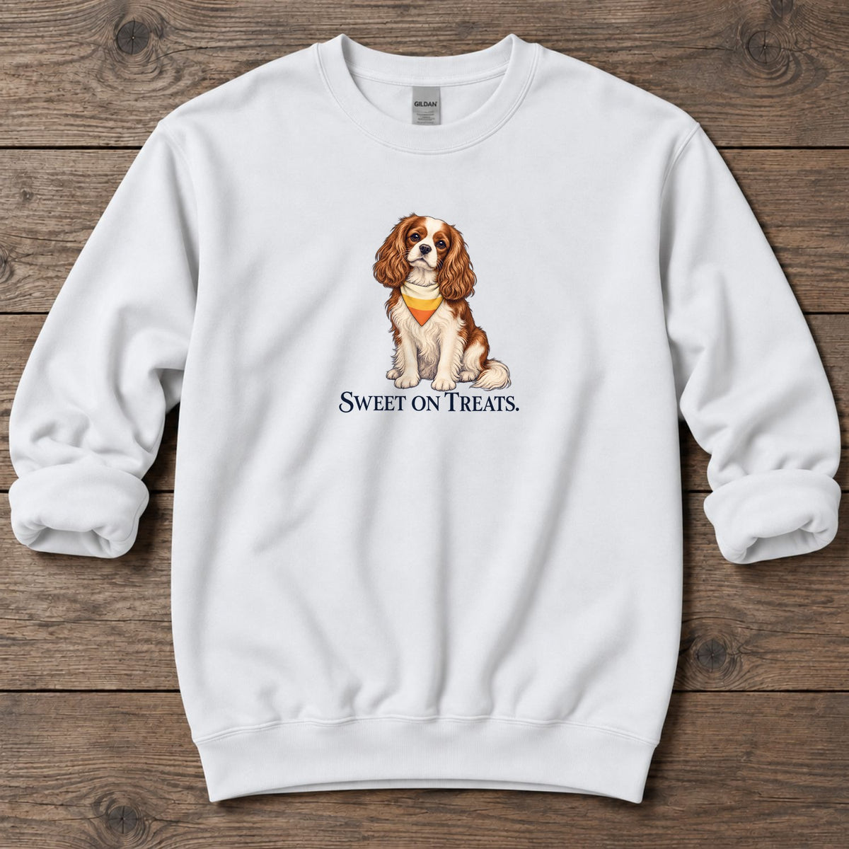 Sweet on Treats Candy Corn Cavalier Midweight Sweatshirt in White, Salty Paws coastal sweatshirt