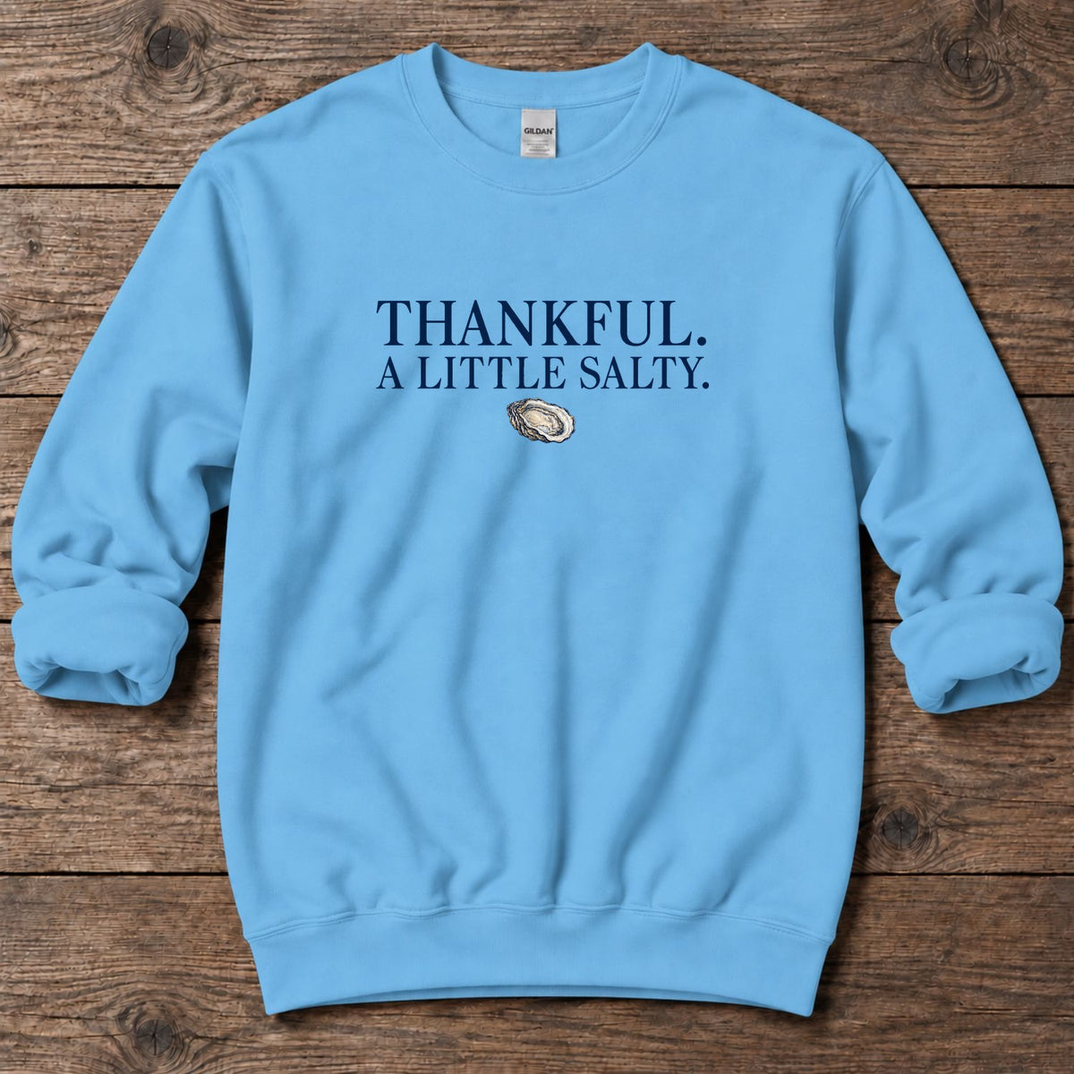 Thankful A Little Salty Midweight Sweatshirt in Sky, Salty Paws coastal sweatshirt
