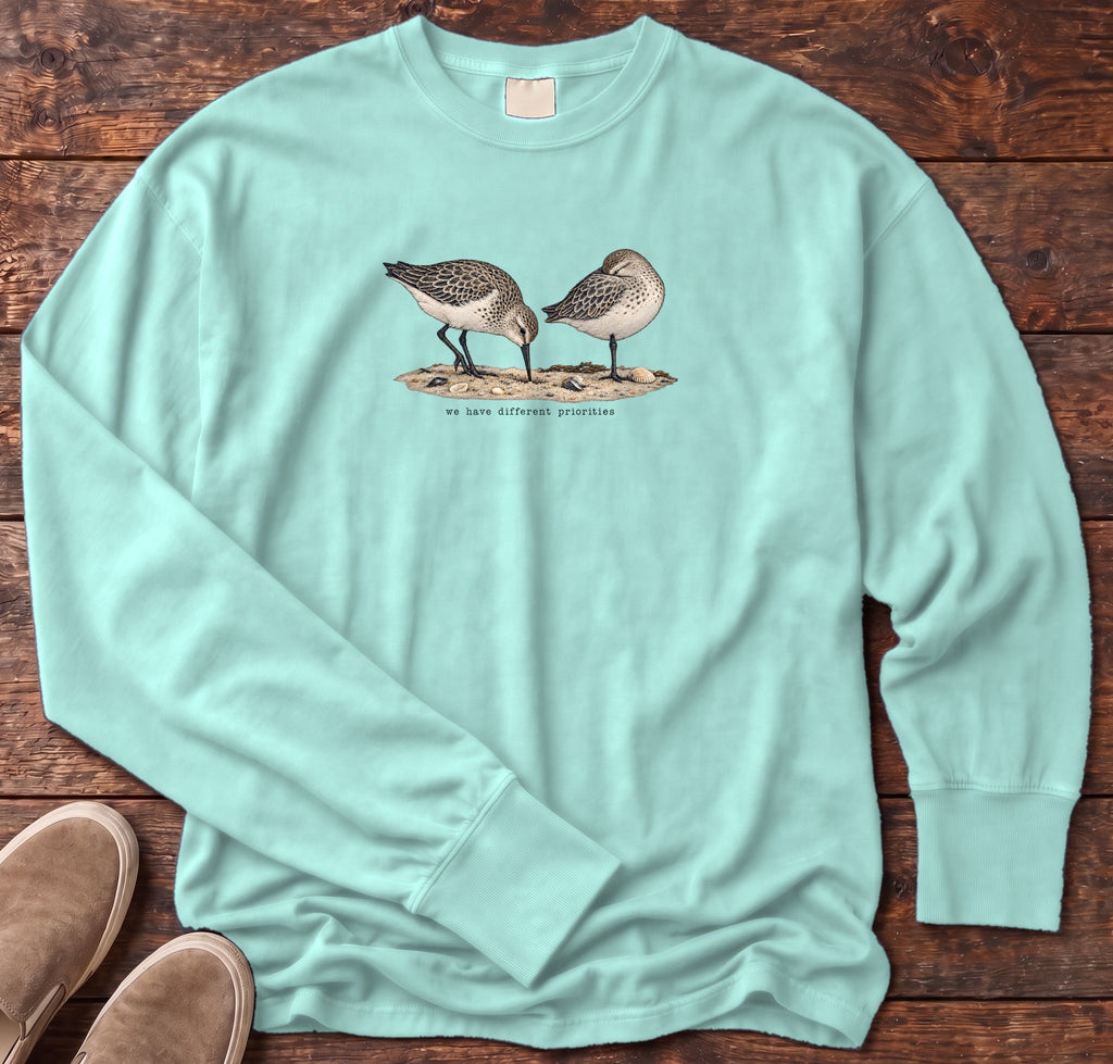 We Have Different Priorities Sandpipers Long Sleeve Tee Comfort Colors in Chalky Mint, Salty Paws Comfort Colors Long Sleeve Tee, front design flat lay
